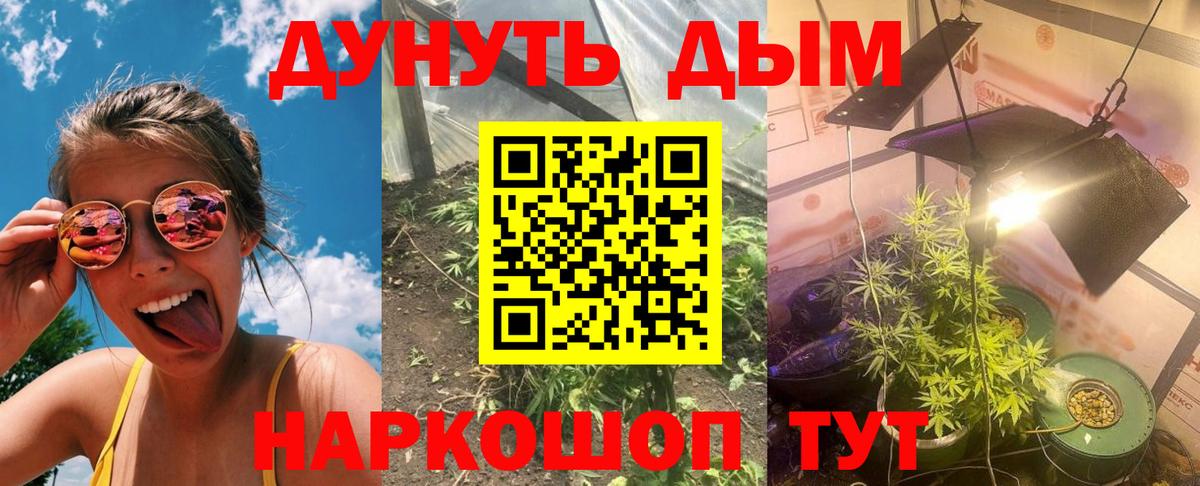 МАРИХУАНА семена  Канабис VHQ  Бошки марихуана SATIVA & INDICA  Вход с VPN  Долгопрудный 